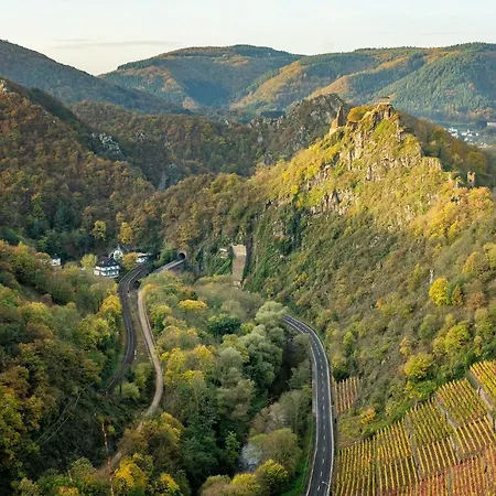 Dom wakacyjny Ferienhaus Althammer - Wandern, Wein Und Relaxen Im Ahrtal *