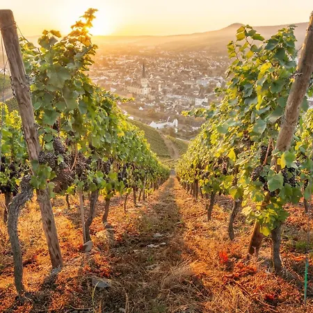 Ferienhaus Althammer - Wandern, Wein Und Relaxen Im Ahrtal *