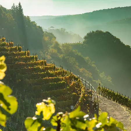 Ferienhaus Althammer - Wandern, Wein Und Relaxen Im Ahrtal