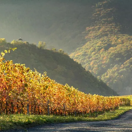 Ferienhaus Althammer - Wandern, Wein Und Relaxen Im Ahrtal *