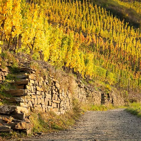 Dom wakacyjny Ferienhaus Althammer - Wandern, Wein Und Relaxen Im Ahrtal *